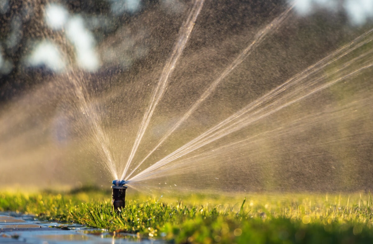 Sprinklers and drip line installation will keep your lawn looking green with year round irrigation from Lifestyle Landscapes in Seattle.