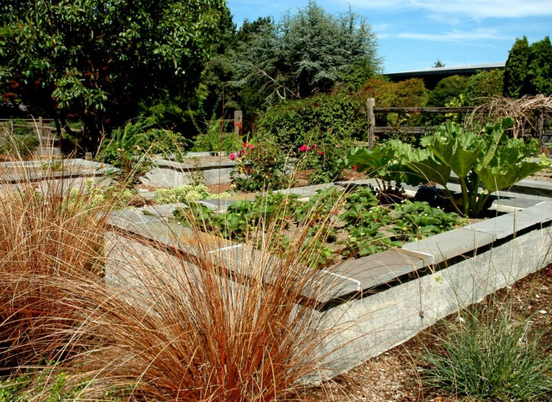 Raised garden beds made with concrete and stone give ease of use for gardening in the Seattle area by Lifestyle Landscapes.