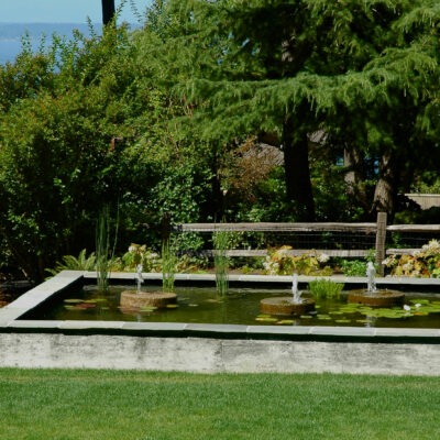 Concrete koi and lily pond has three stone water fountains to circulate water for fish. Custom pond by Lifestyle Landscapes in Seattle, Washington.