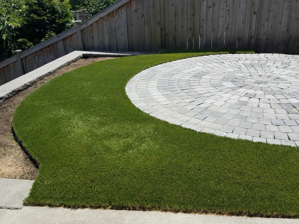 Dream turf encircles a round paver patio in small Seattle backyard.