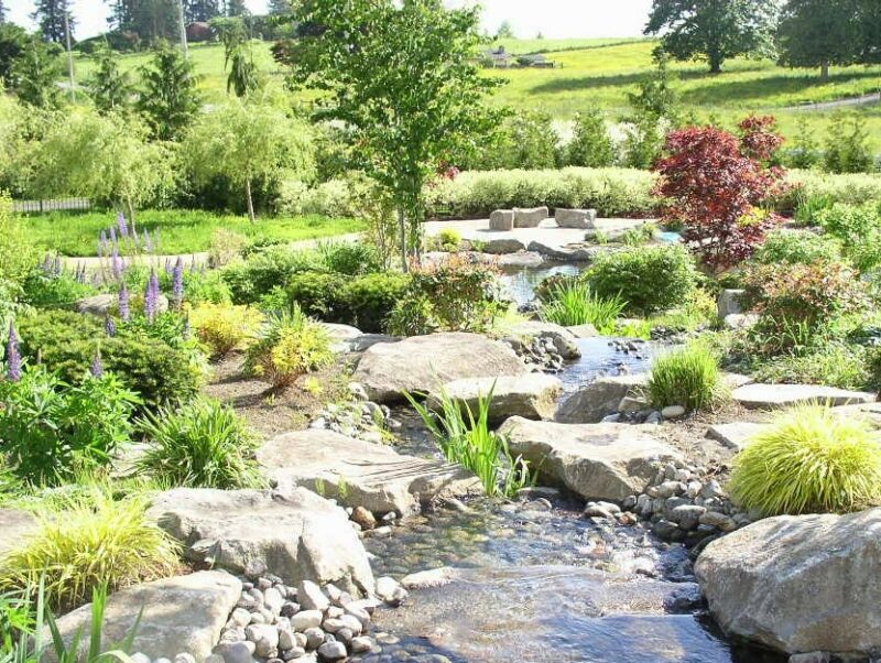 Natural Stream with waterfall in landscaped backyard in Tacoma