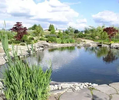 Large commercial pond installation and landscaping for park in Seattle, Washington by Lifestyle Landscapes.