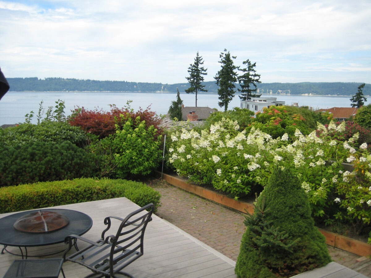 Lovely landscape design overlooking Pugent Sound in Washington with hydrangeas, evergreens in garden box.