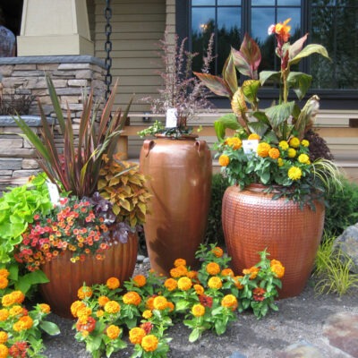Large ceramic pots are planted with vibrant long lasting plants to created potted gardens for commercial and residential spaces in Seattle.